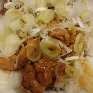 北海道名物（帯広）豚丼
